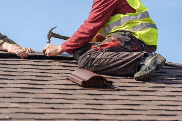 Best Roof Waterproofing Services  in Nashvle, IL
