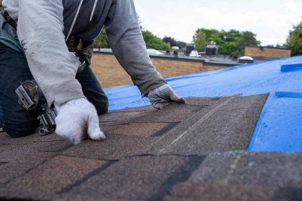 Best Flat Roof Repair Services  in Nashvle, IL