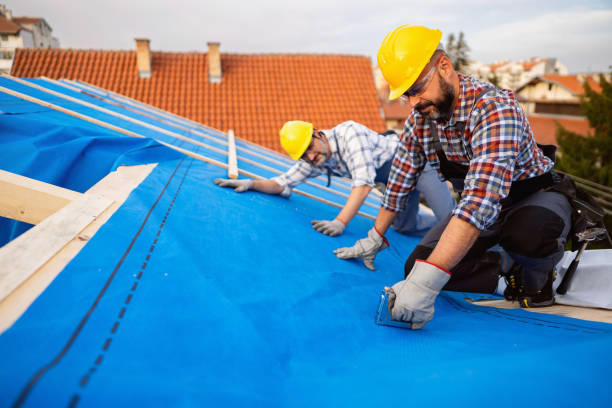 Best Roof Maintenance Services  in Nashvle, IL